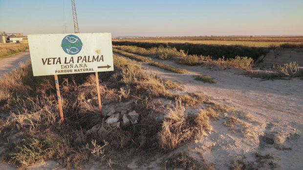 La Junta de Andalucía compra 7.600 hectáreas de la finca Veta La Palma para ampliar y proteger Doñana