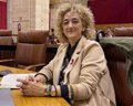 El PP de Granada urge al Gobierno a que comience “de una vez” las obras de las canalizaciones de Rules