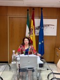 Carmen Crespo pide más flexibilización del Pepac por ser “insuficientes” las medidas del Gobierno
