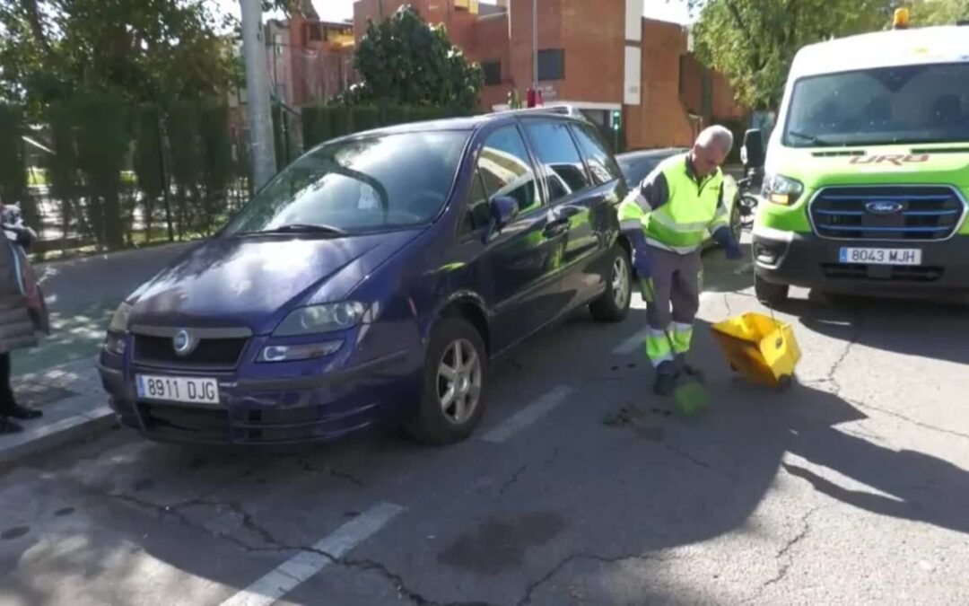 Detenidos dos pandilleros por el asesinato de un joven en Sevilla