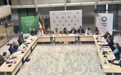 Andalucía aprueba un Paquete de Medidas de Impulso a la Agricultura y la Ganadería por valor de más de 500 millones