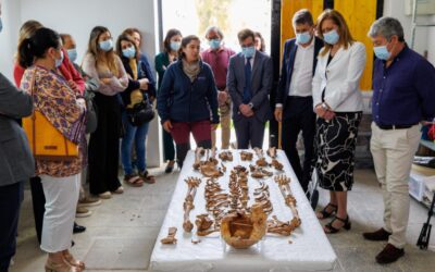 Osuna recupera medio centenar de restos de 49 víctimas de la Guerra Civil
