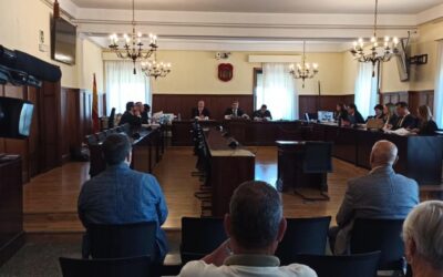 Fiscalía rebaja petición de cárcel para el extesorero del Sector F de Almensilla y Perea