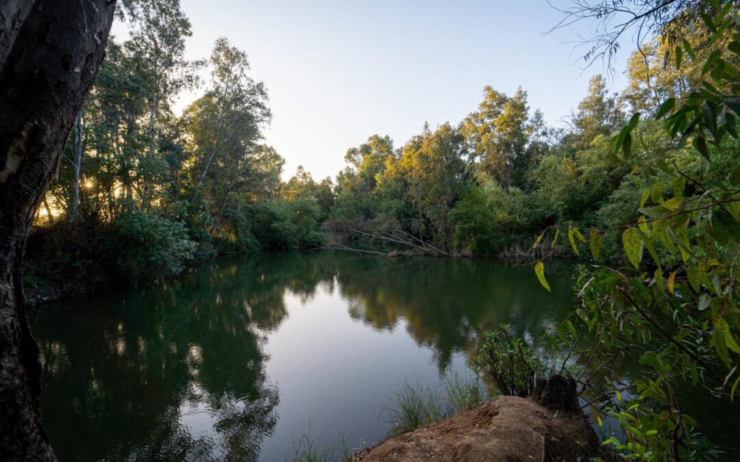 El río Guadiamar, en kayak