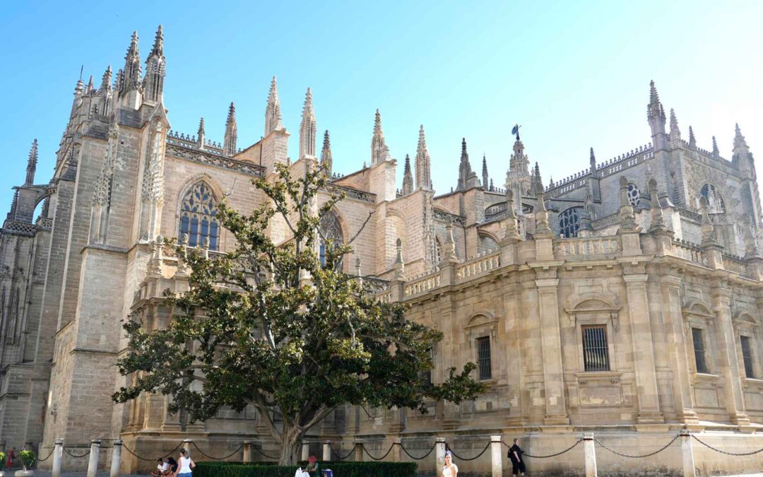 Casi cien mil personas han visitado gratis este año la Catedral
