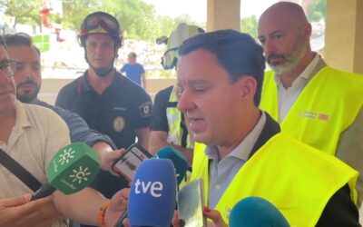 Una mesa con todas las partes busca soluciones al derrumbe del edificio Mapfre en Sevilla