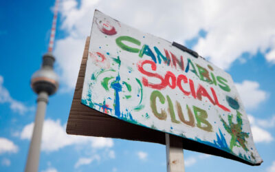 Condenan por tráfico de drogas a tres responsables de una asociación cannábica de Alcalá de Guadaíra