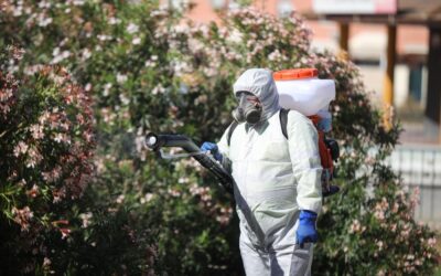 Diputación llevará a la Junta a tribunales por el plan contra el virus del Nilo