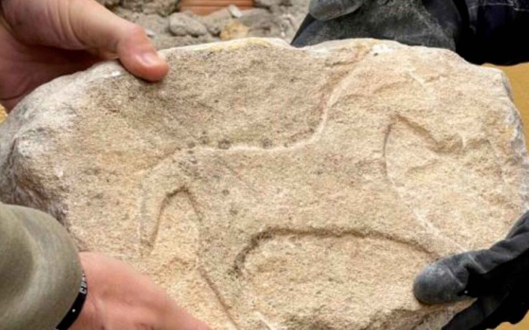 Encuentran por rrss dos piezas arqueológicas de época íbera en un bar de Granada