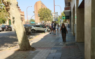 Comienzan este lunes en Sevilla las obras de mejora en la calle Marqués de Paradas