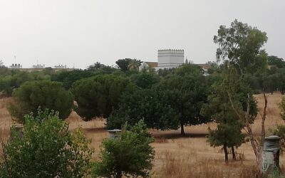 Convocan una protesta contra la construcción de viviendas en Cortijo de Cuarto