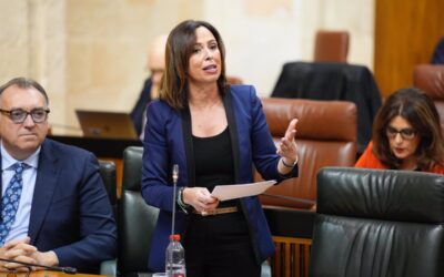 Andalucía reivindica su competencia en vivienda y está “atenta” a cómo plantea el Gobierno su anunciada empresa pública