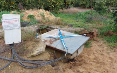 Un nieto de la Duquesa de Alba, citado este jueves en la causa de los pozos no autorizados en el entorno de Doñana