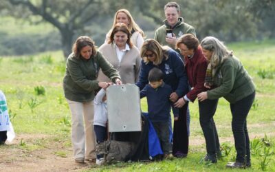 La Junta libera dos ejemplares de lince ibérico en Sierra Morena (Sevilla) reforzando “la recuperación de la especie”