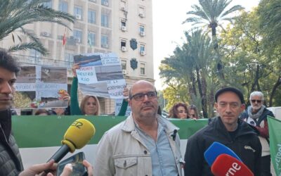 Ecologistas: Grupo México “se parece mucho a Boliden” y pide paralizar Aznalcóllar