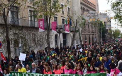 Marea Verde se manifiesta el domingo “contra la privatización” de la Educación Pública